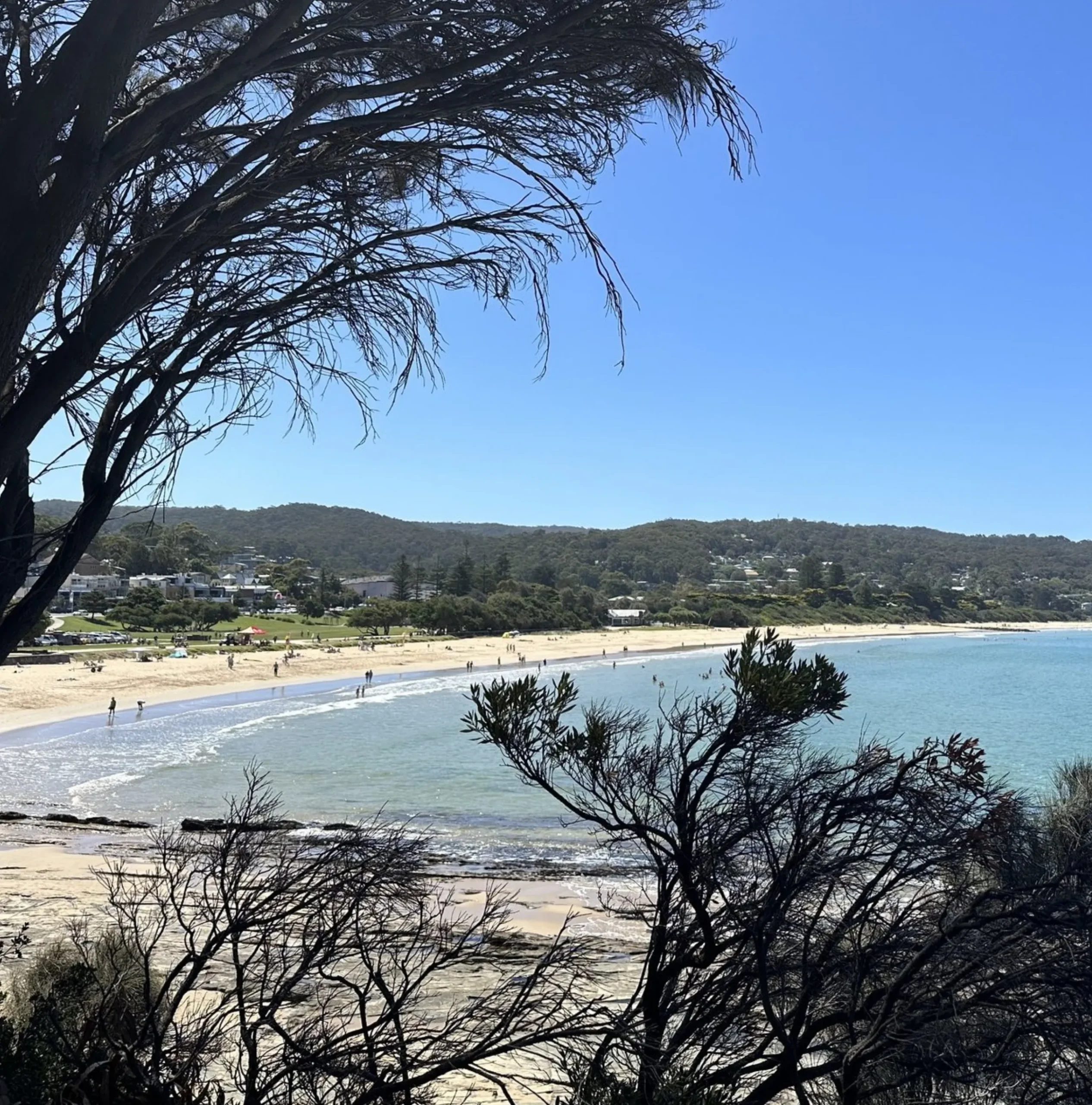 2 day Great Ocean Roads tour