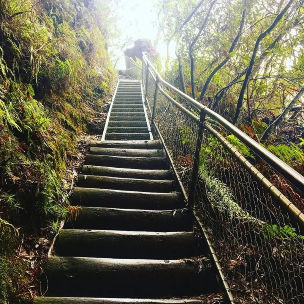 Giant Stairway