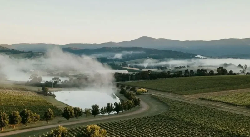 Are Ubers Or Taxis Reliable Out In The Yarra Valley